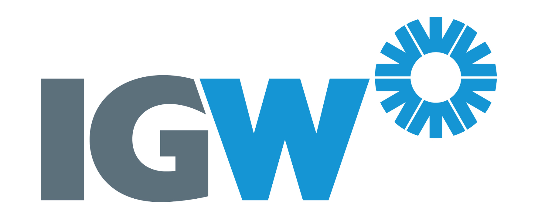 Logo IGW